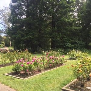 Meet your Posher, Ameena